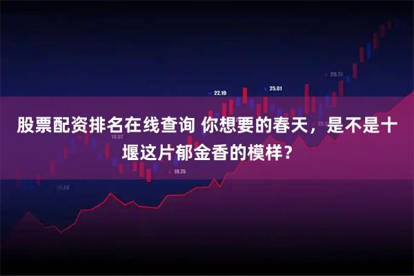 股票配资排名在线查询 你想要的春天，是不是十堰这片郁金香的模样？