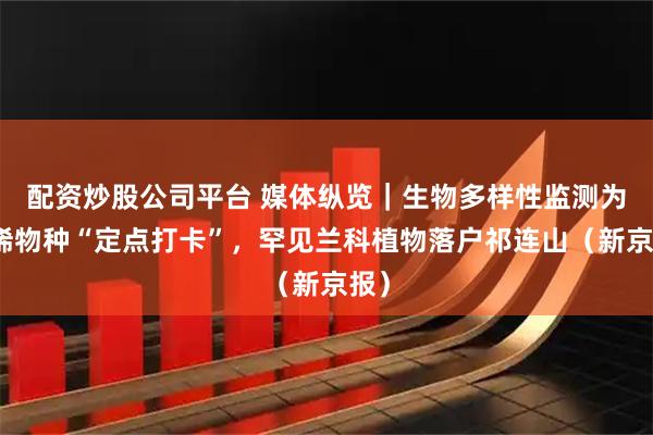 配资炒股公司平台 媒体纵览｜生物多样性监测为珍稀物种“定点打卡”，罕见兰科植物落户祁连山（新京报）